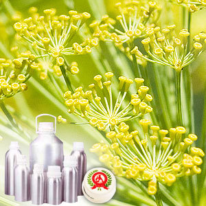 Fennel Sweet Oil